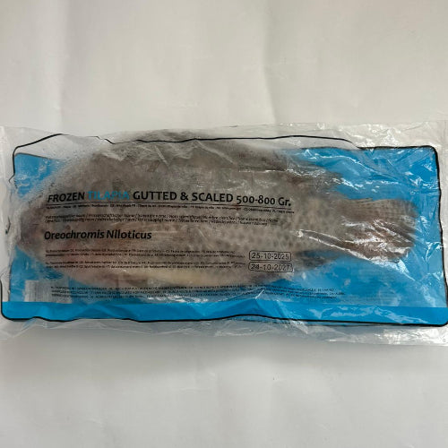 Frozen Tilapia G/S 500 - 800g